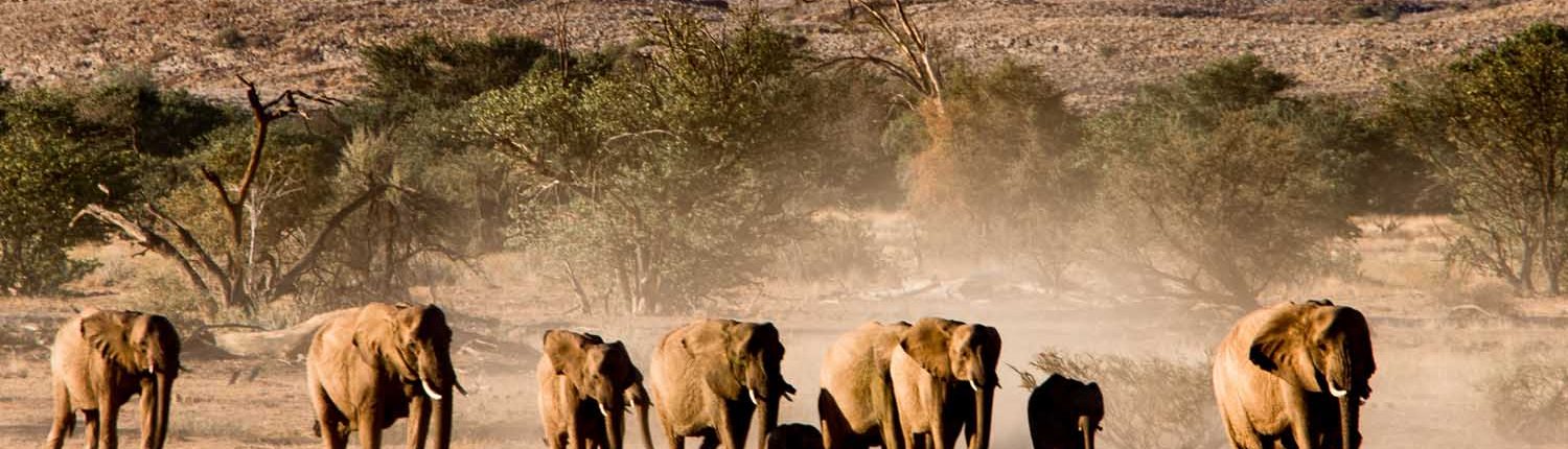 納米比亞攝影愛好團2_非洲王子講醬啵JAMBO