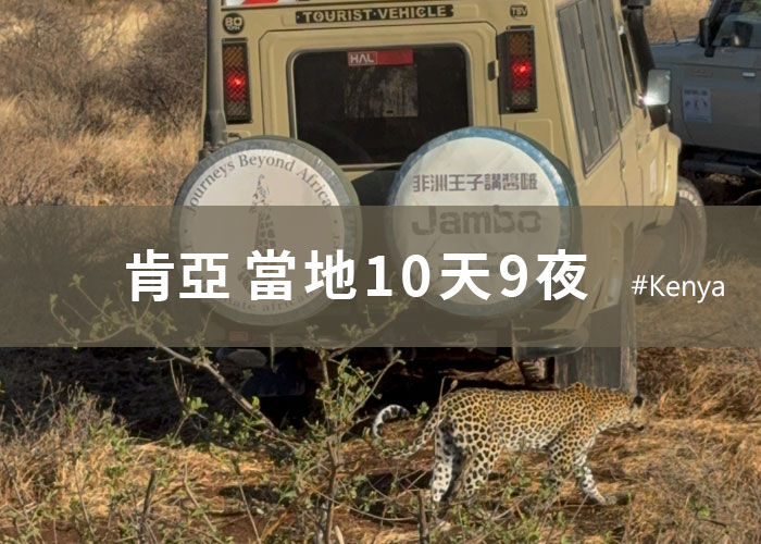 肯亞10天9夜_天天出發