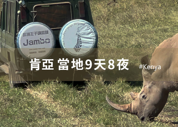 肯亞9天8夜_天天出發